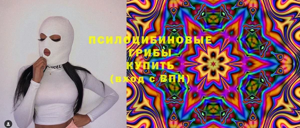 дживик Липки