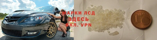 СК Кукмор