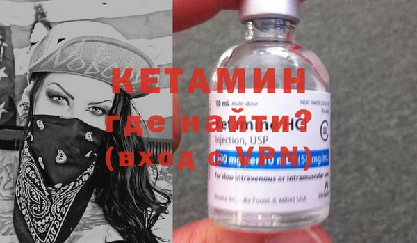 крисы Кулебаки