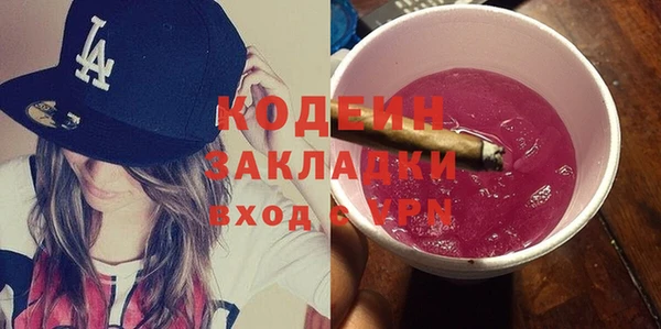 крисы Кулебаки