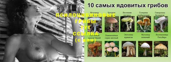 СК Кукмор