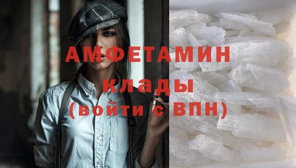 крисы Кулебаки
