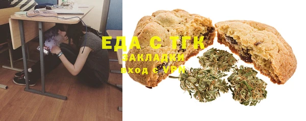 крисы Кулебаки