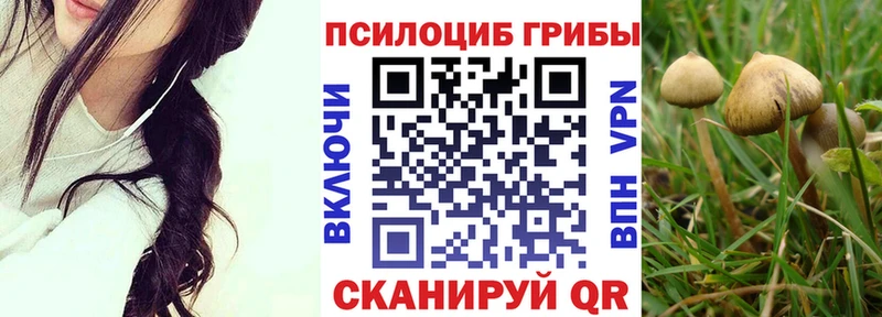 МЕГА Ладушкин Галлюциногенные грибы Psilocybine cubensis